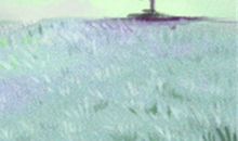 揭秘处女座职场危机指数