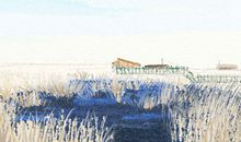 失败对于各血型来说是什么？