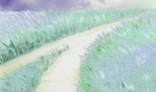 射手座还不清谁的情债？