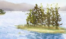 处女座那些你不知道的事