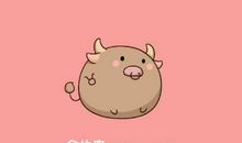 不能对金牛座做的事情