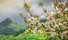 摩羯座与旧爱和好的理由