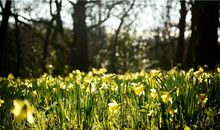 属马2019年的风水吉凶方位