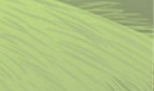 12星座女追男如何做？