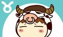 金牛座男生心仪的女孩