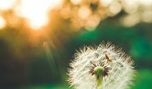 处女座分手要犹豫多久