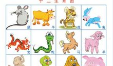 十二生肖和什么属相最配