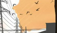 处女座七夕约会大全