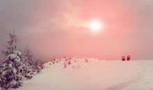 傅子绮2020年2月十二星座运势