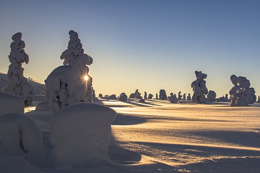 梦想着雪和阳光的命运