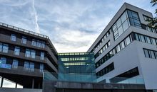 公司起名吉祥字大全