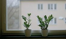 超灵验开运大师一周运势（11.16-11.22）