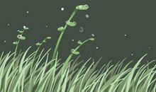 水瓶座男女检验真爱的方法