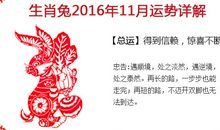 2016.12.11生肖运势