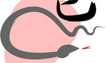 蛇和什么生肖相冲