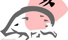 猪和什么生肖相冲