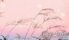 饮食与健康 各血型应该这样吃