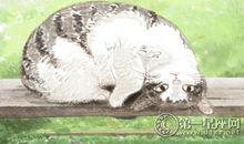 理性or感性 各血型属于哪一个