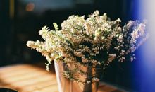 魔羯座职场的减压对策