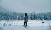 梦见下雪天桃花开有什么暗示