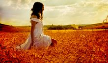 天蝎座为何不想爱下去