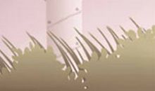 隐藏于背后天蝎座变心的原因