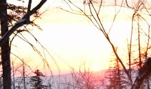 摩羯座坚持的爱情观