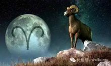 白羊座坚持的爱情观