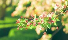 怎样与巨蟹座和平分手