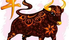 2016.11.16生肖运势