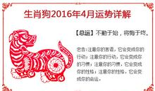 2016.6.13生肖运势
