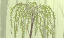 当巨蟹座面临冰桶效应