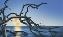 双鱼座爸爸暑期选车攻略