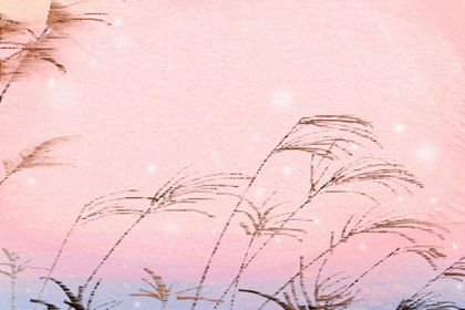 白羊座的秘密爱情计划是什么？