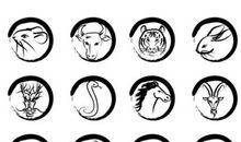 2016.8.14生肖运势