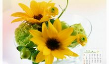 2016.7.22生肖运势