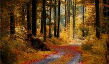 双鱼座的幸运数字，双鱼座的幸运号码