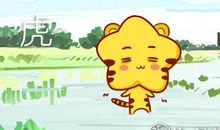 张盛舒 属虎人2019年整体运势