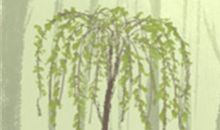 当双子座面临冰桶效应