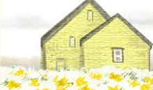 狮子座女生的爱情邂逅场