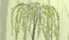 当天秤座面临冰桶效应