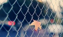 超灵验开运大师生肖周运(2015.3.12-3.18)