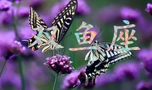 神马影响了双鱼座魅力值