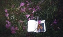 双鱼座的诗和远方