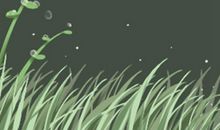 属兔十二星座男生性格特点