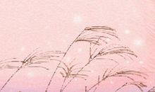 属牛十二星座女生性格特点