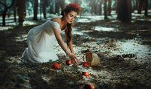 熊神进一周生肖运势（4.27-5.3）