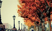 水瓶座的诗和远方