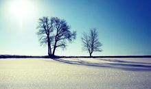 水瓶座分手要犹豫多久