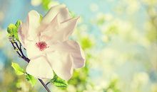 解读十神“正印”的用法